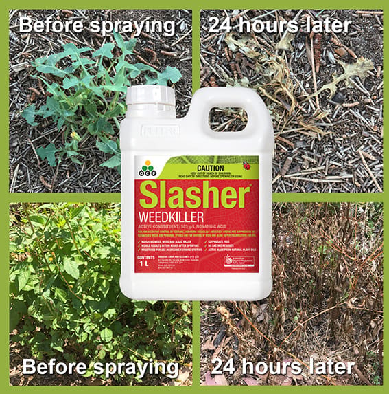 Slasher Before and After Use