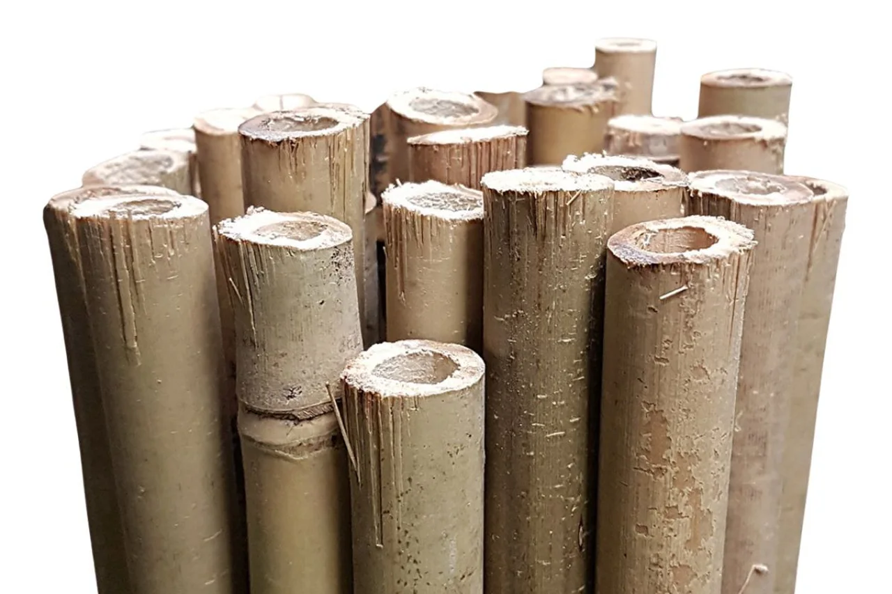 GrowRite bamboo stakes for light-duty revegetation and landscape planting