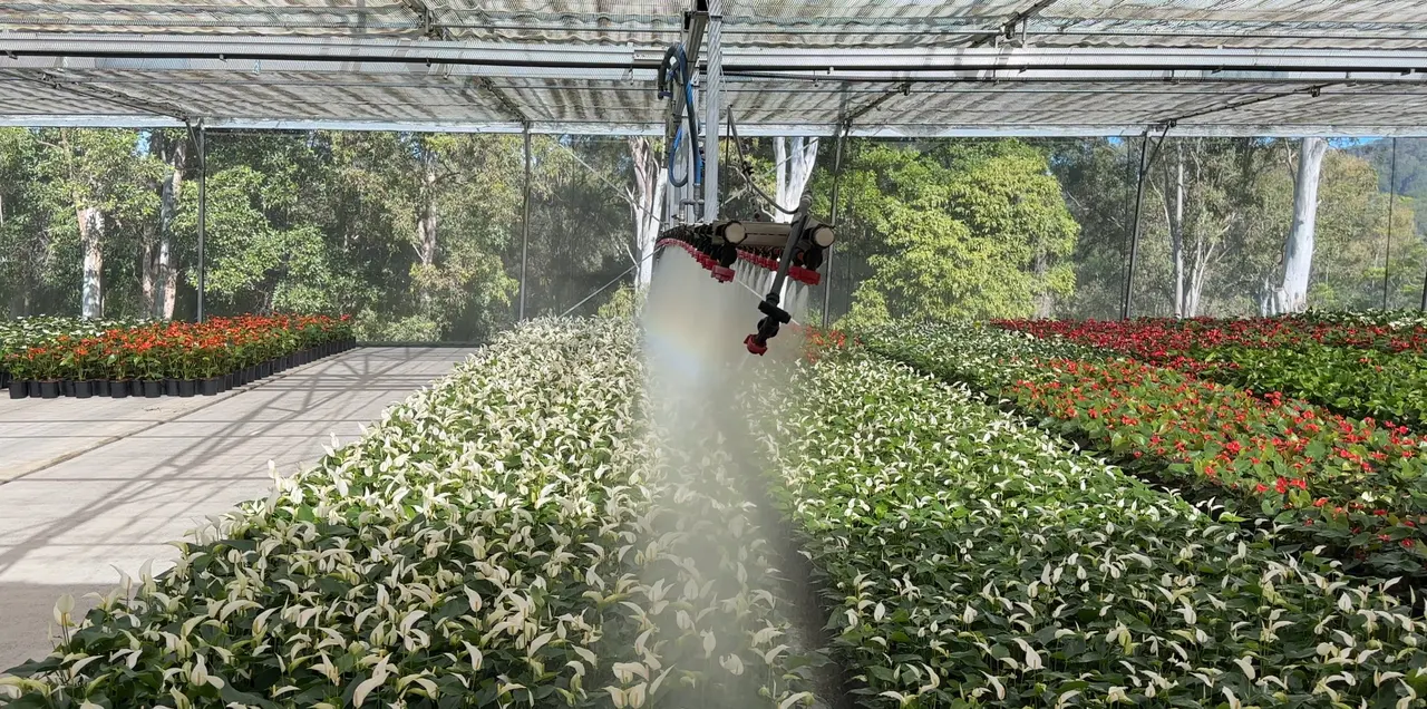 Overhead boom irrigation watering potted plants on production nursery benches