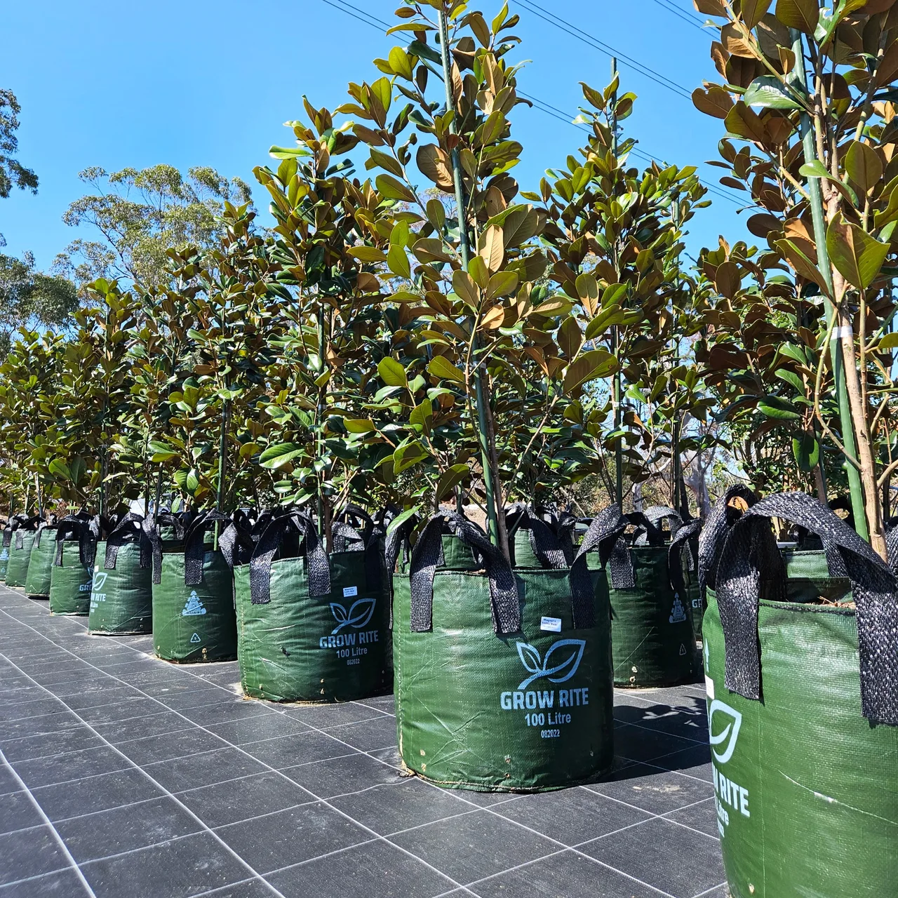 Advanced plant nursery products