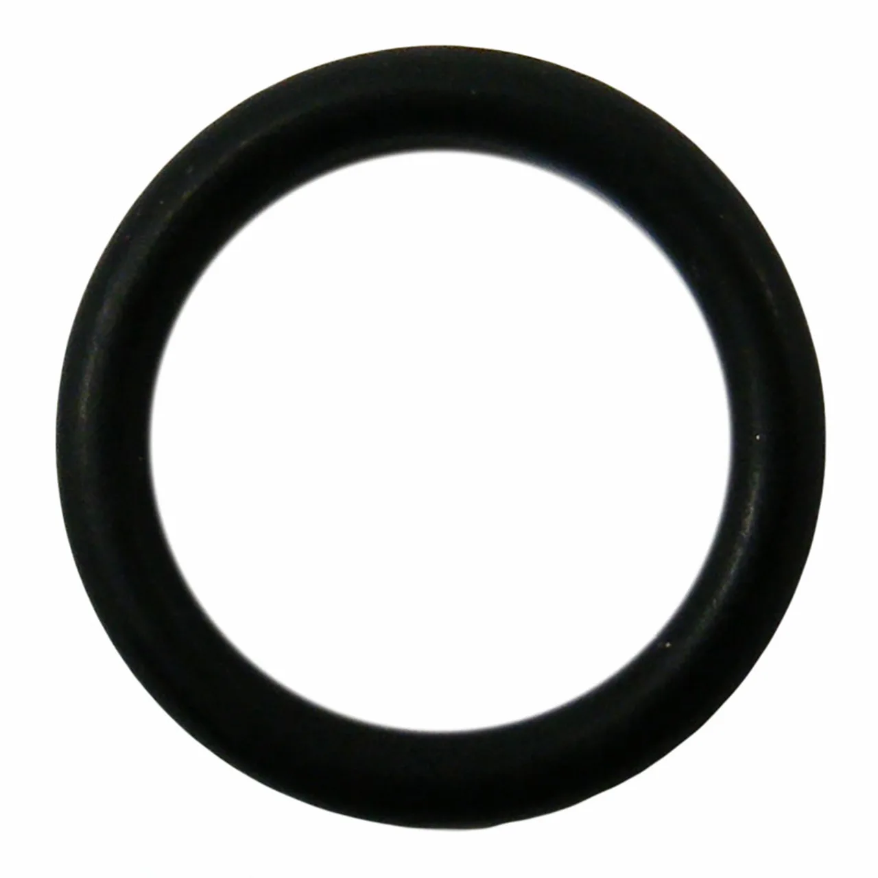 Nozzle O-Ring