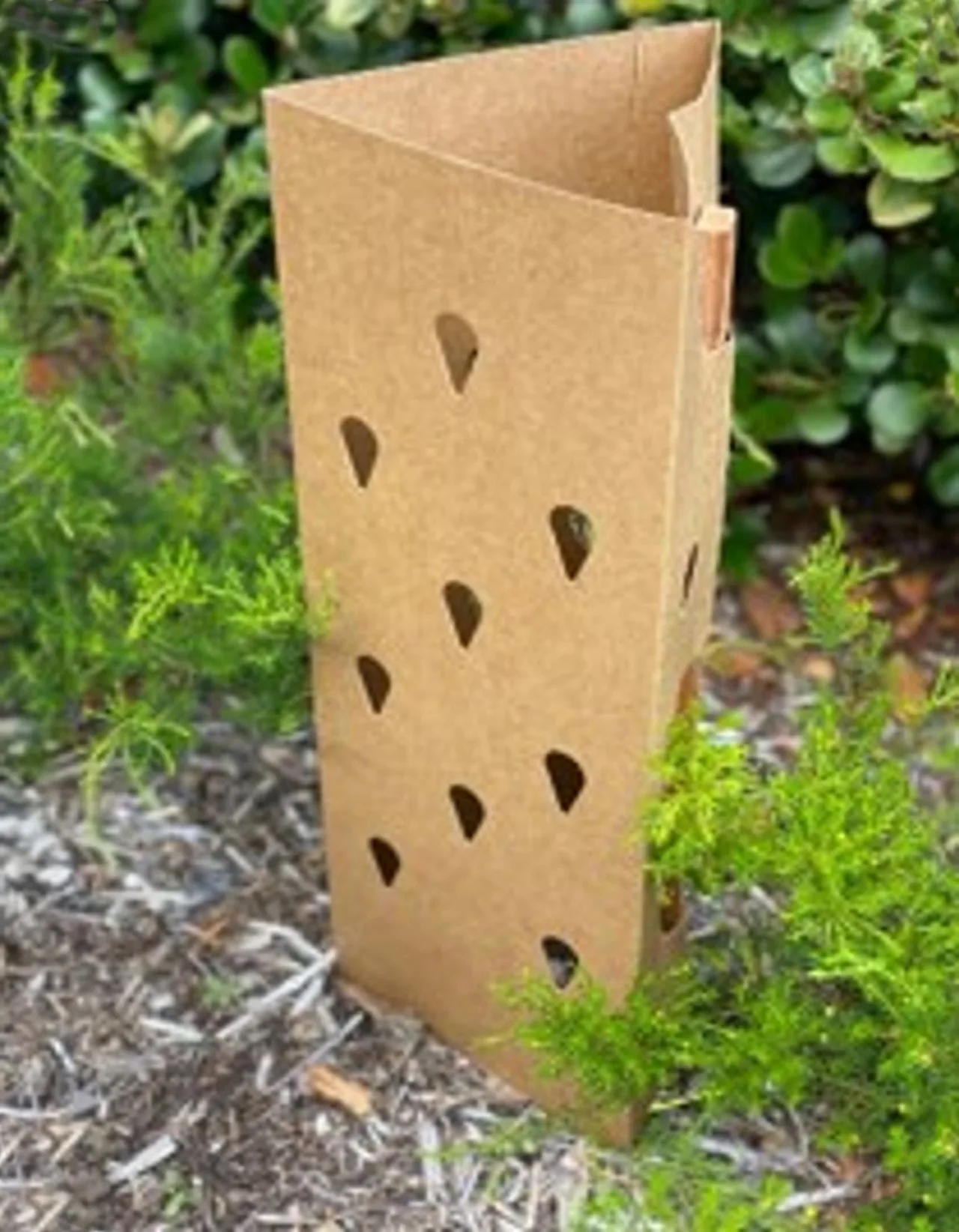 Greenguard MAXI Triangular Enviro Tree Guard — 600mm H x 220mm W · Pack of 50