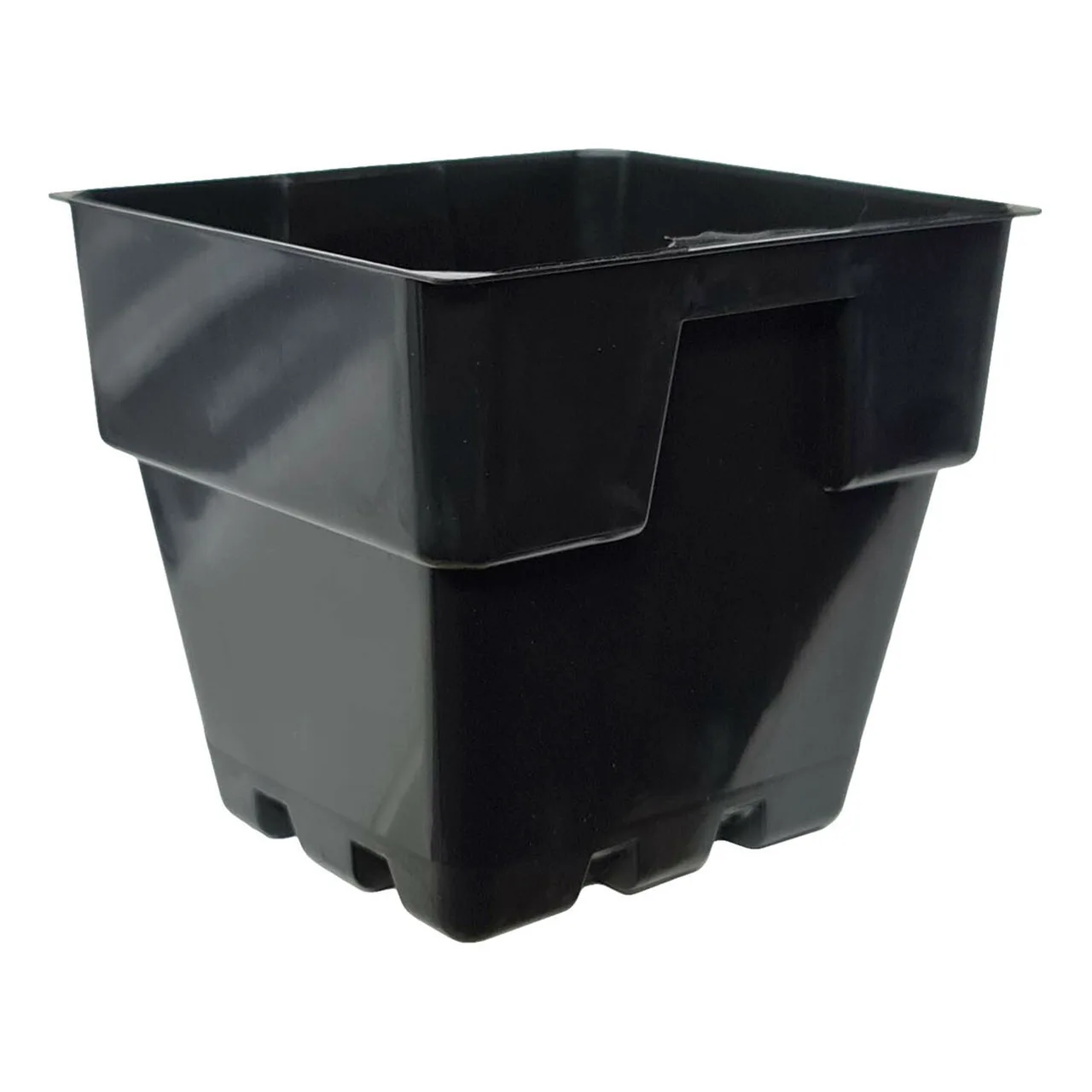 100mm Squat Punnet Pot MK12 — Pack of 20 · Black