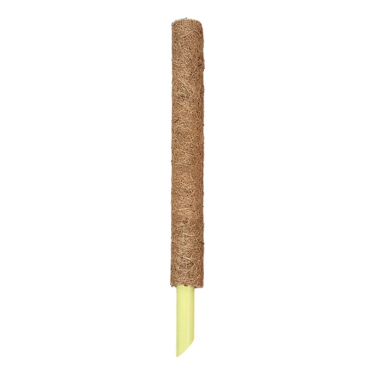 Coconut Fibre Totem Plant Poles — 4cmØ x 45cm · Each
