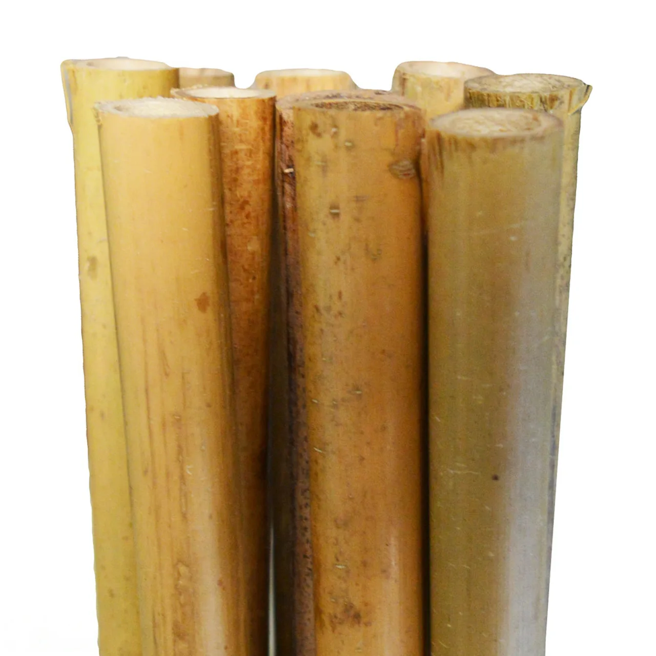 Bamboo Stakes 210cm — 120cm, 14-16mmØ · Bale of 200