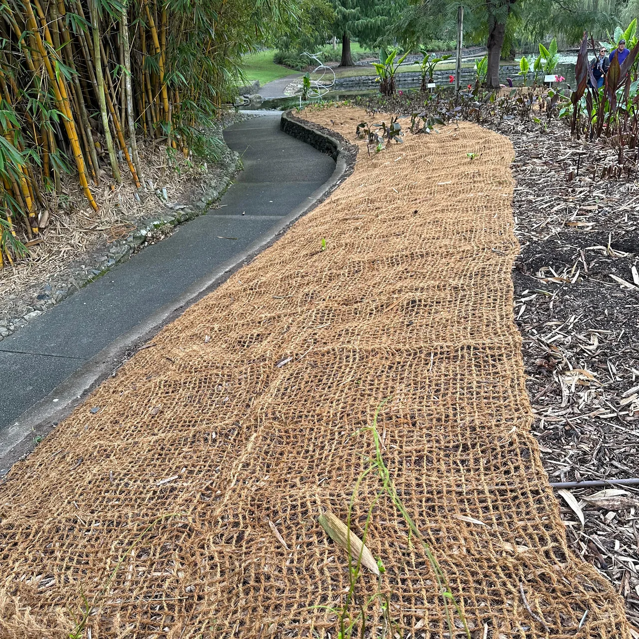 Growrite Heavy-Duty Coir Mesh | 400gsm & 700gsm Commercial Rolls — 2m Wide x 25m Roll · 400 GSM - 35mm Diamond Mesh