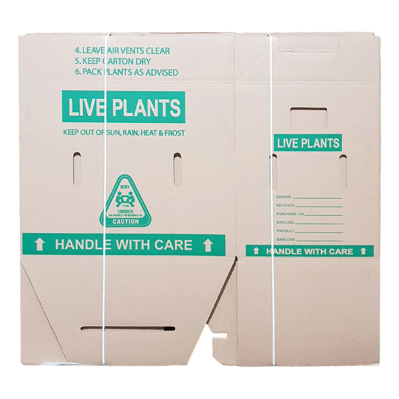 Live Plants Carton Open Top — 565mm x 380mm x 450mm^ · Each