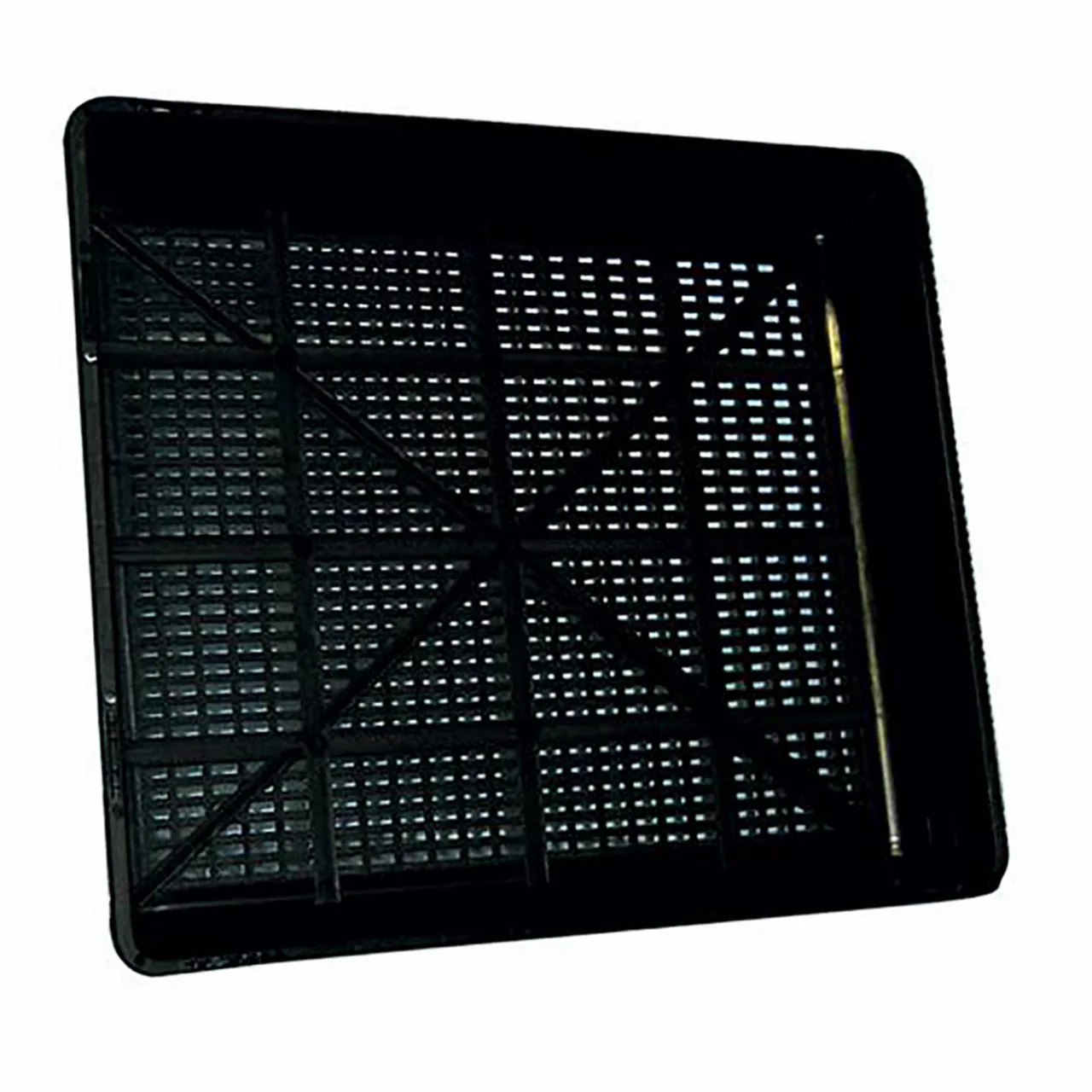 Seedling Tray (fine hole base) — Pack of 10 · Black