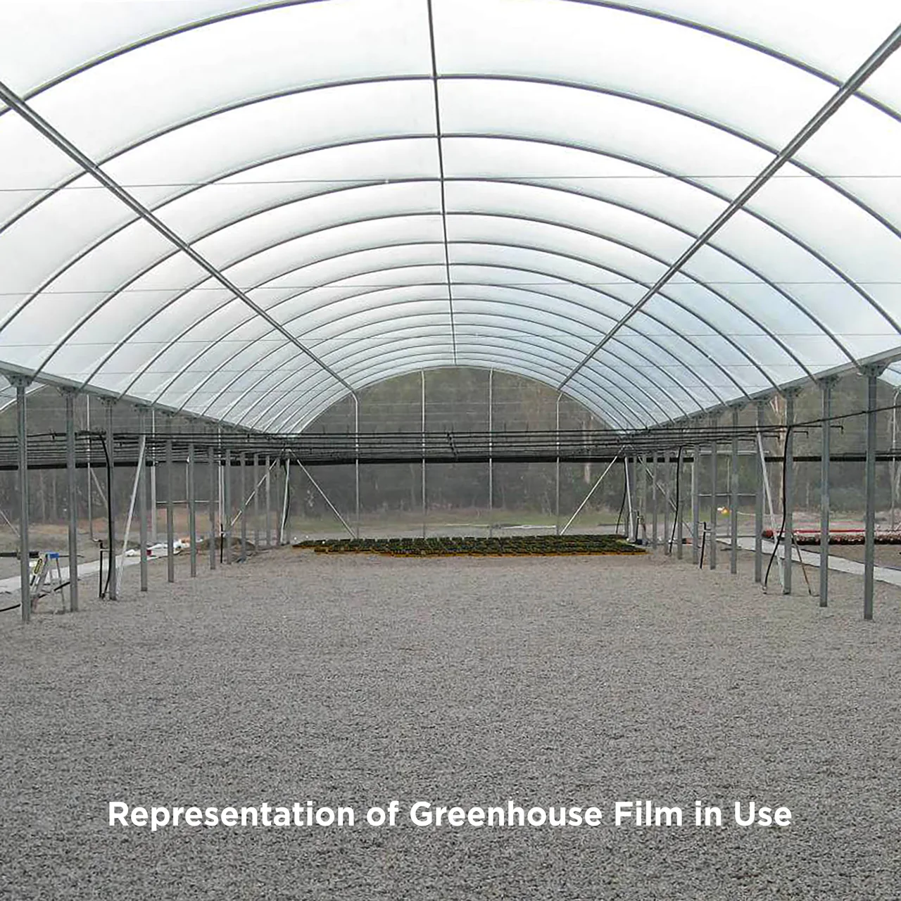 Greenhouse Film Natural 200um — 7.5m Wide · By the Metre: Qty = Length