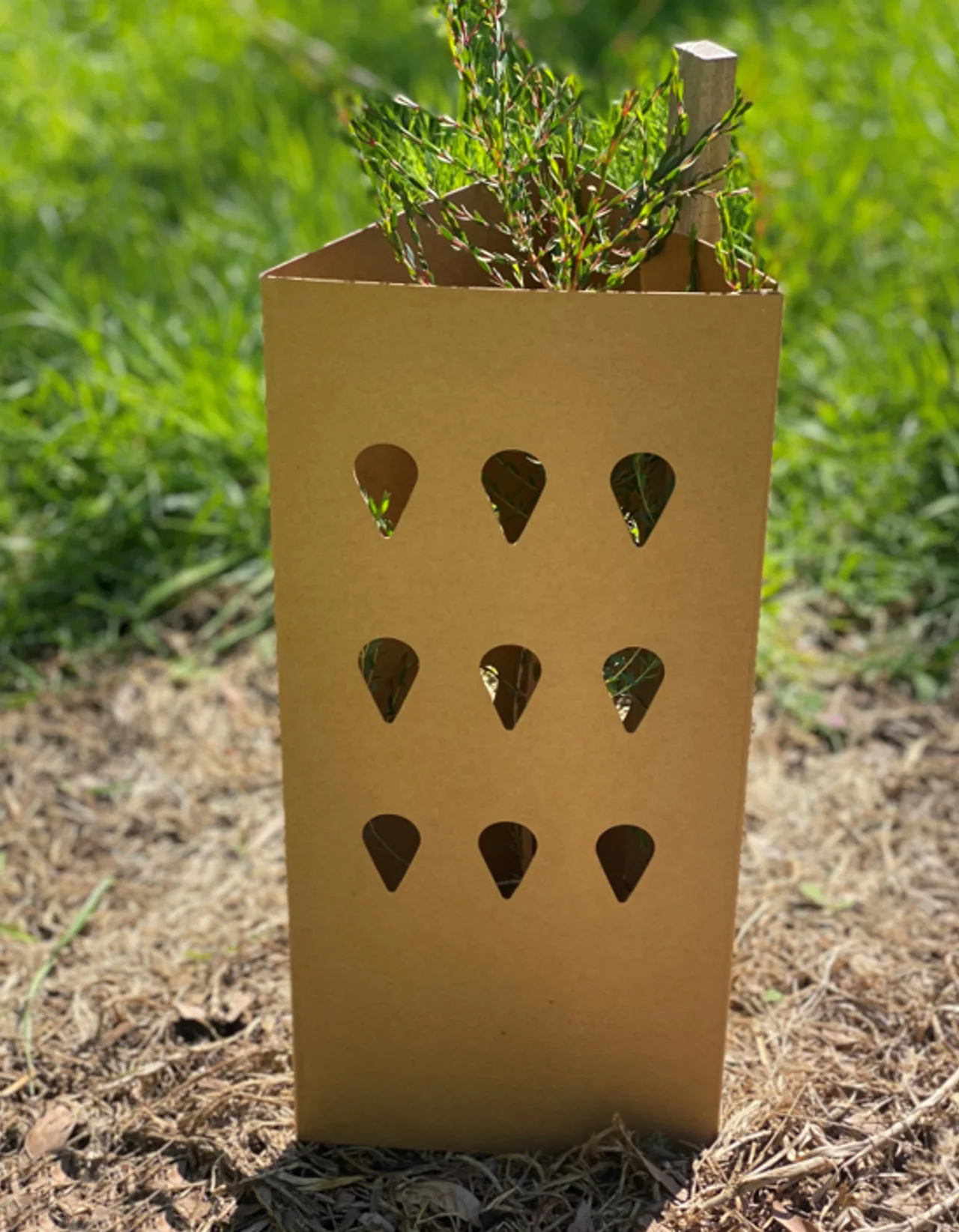 Greenguard POP Triangular Enviro Tree Guard — 450mm H x 200mm W · Pack of 50