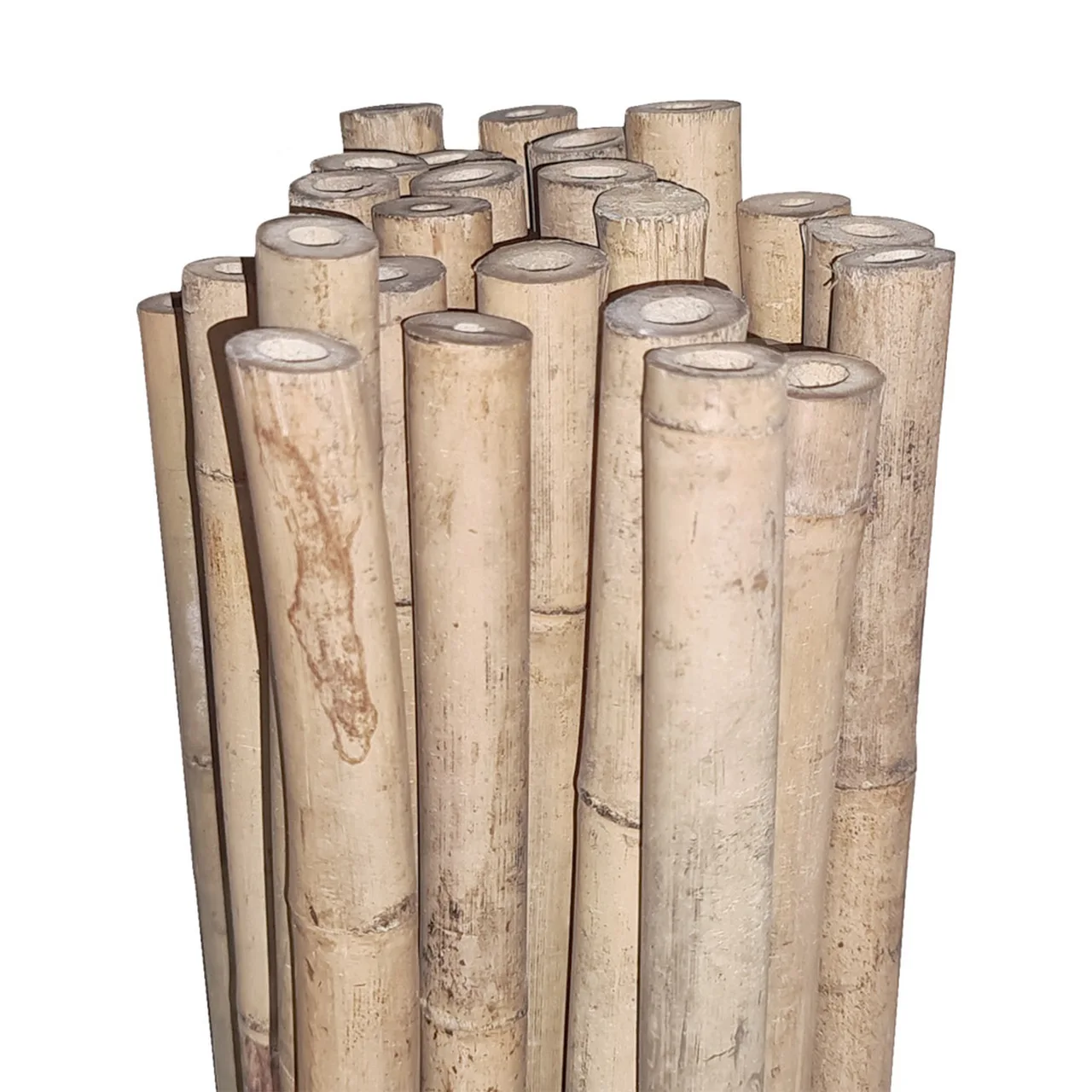 Bamboo Stakes 300cm — 300cm, 24-26mmØ · Bale of 50