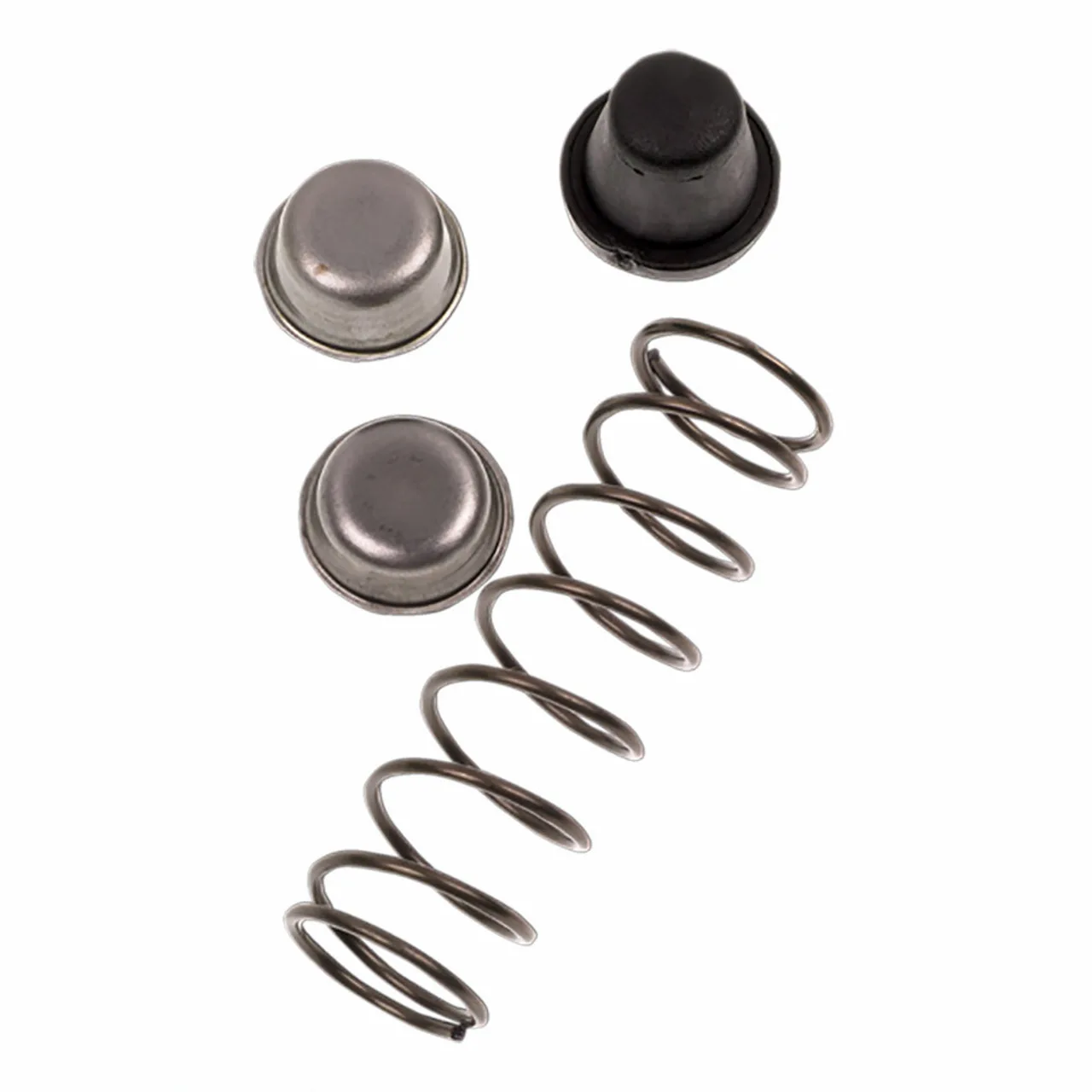 Spring & Buffer Kit for P110 Secateurs