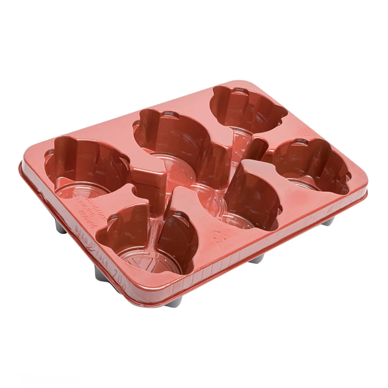 Norm Pack (Holds 6 x 12cm Pots) — Pack of 10 · Terracotta