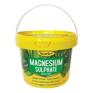 Magnesium Sulphate