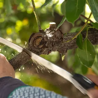 Sugoi Curved Pruning Saw