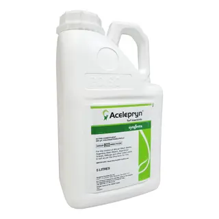 Syngenta Acelepryn SC | Professional Liquid Turf Insecticide | 100ml to 5L