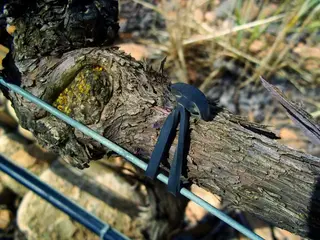 Agrifast Rubberties