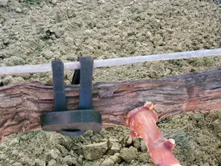 Agrifast Rubberties