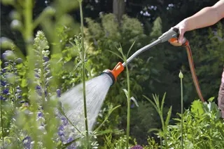60cm Classic Spray Wand