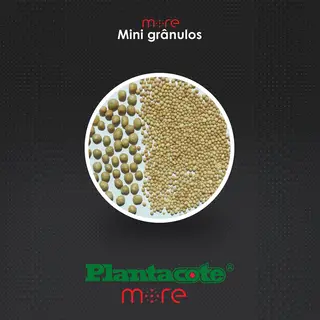 Plantacote Pluss 'More' Mini Prill Controlled Release Fertiliser