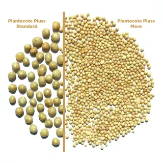 Plantacote Pluss 'More' Mini Prill Controlled Release Fertiliser