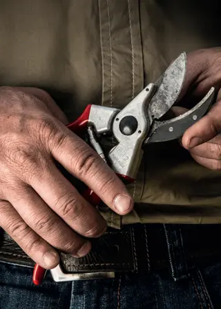 Felco 2 Secateur + Felco 910 Holster Bundle