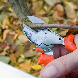 Lowe 5 Easy-Cut | Anvil Pruner