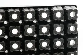 TS-100 Vegetable Seedling Tray