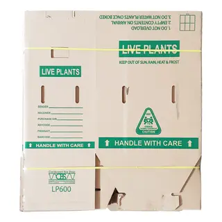 Live Plants Carton Open Top