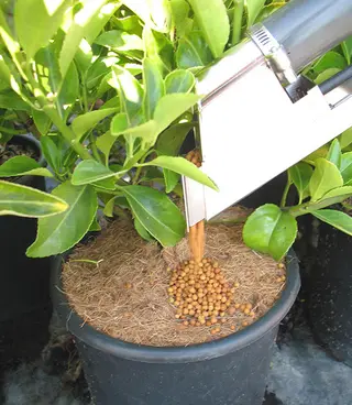 Backpack Topdressing Fertiliser Dispenser
