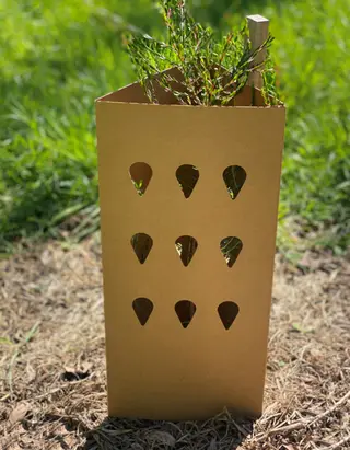 Greenguard POP Triangular Enviro Tree Guard