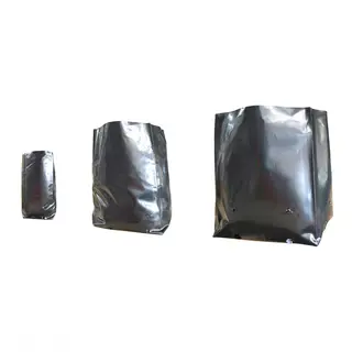 Polythene Plant Bag 150mmØ