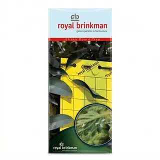 Insect Sticky Trap Yellow, 25cm x 10cm