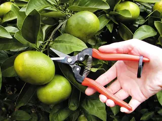 300L Straight Blade Trimmer