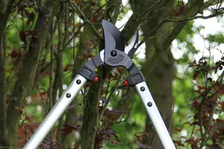 ARS LP40 Bypass Lopper