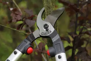 ARS LPB-30L Bypass Loppers