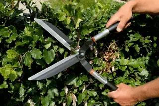 Bahco P51-SL Hedge Shears, Heavy Duty, Lightweight with Aluminium Handle