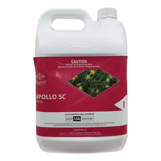 Apollo SC Miticide & Ovicide