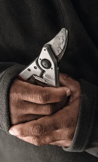 Felco 12 Secateurs