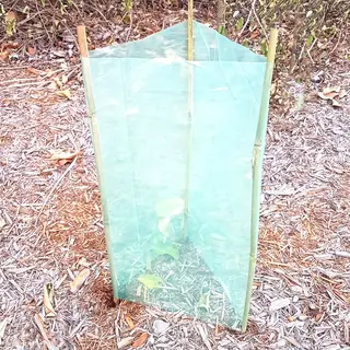 Tree Protection Sleeves 450mm x 350mmW
