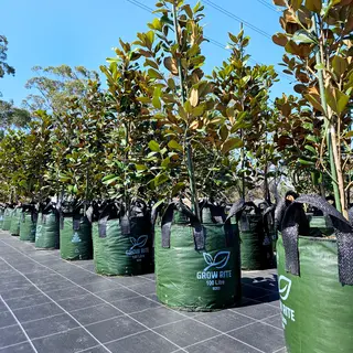 XHD Woven Plastic Plant Bag with 4 Handles, 100L