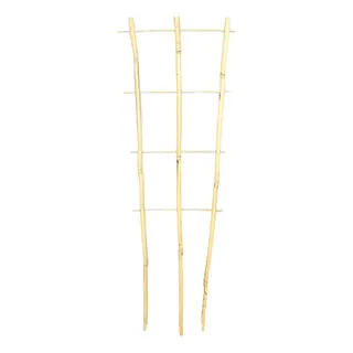 Bamboo Plant Trainer 60cm