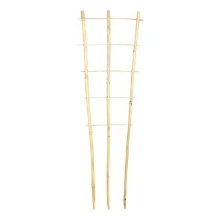 Bamboo Plant Trainer 90cm