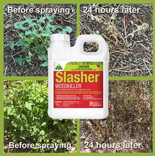 Slasher Pelargonic Acid Weedkiller