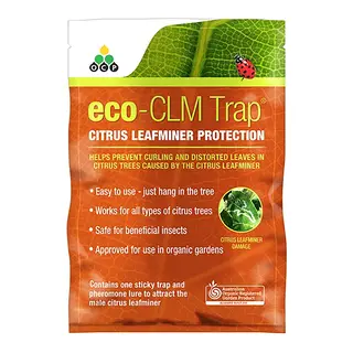Eco CLM Citrus Leaf Miner Trap+Lure
