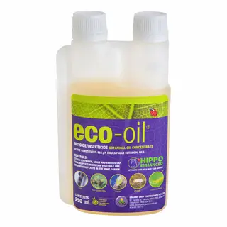 Eco-Oil Miticide & Insecticide Botanical Oil Concentrate