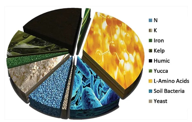 Bio Chart