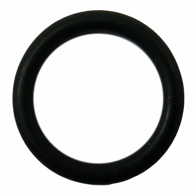 Nozzle O-Ring