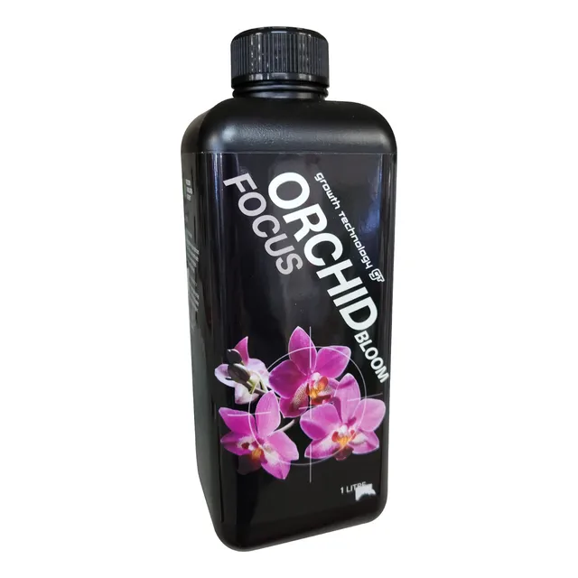 Orchid Focus Bloom