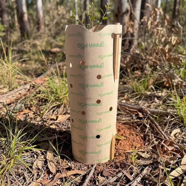 green-POD Paper Tree Guards